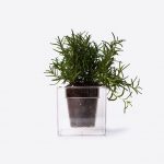 Decor Bonsai Flower