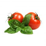 Tomato Fresh